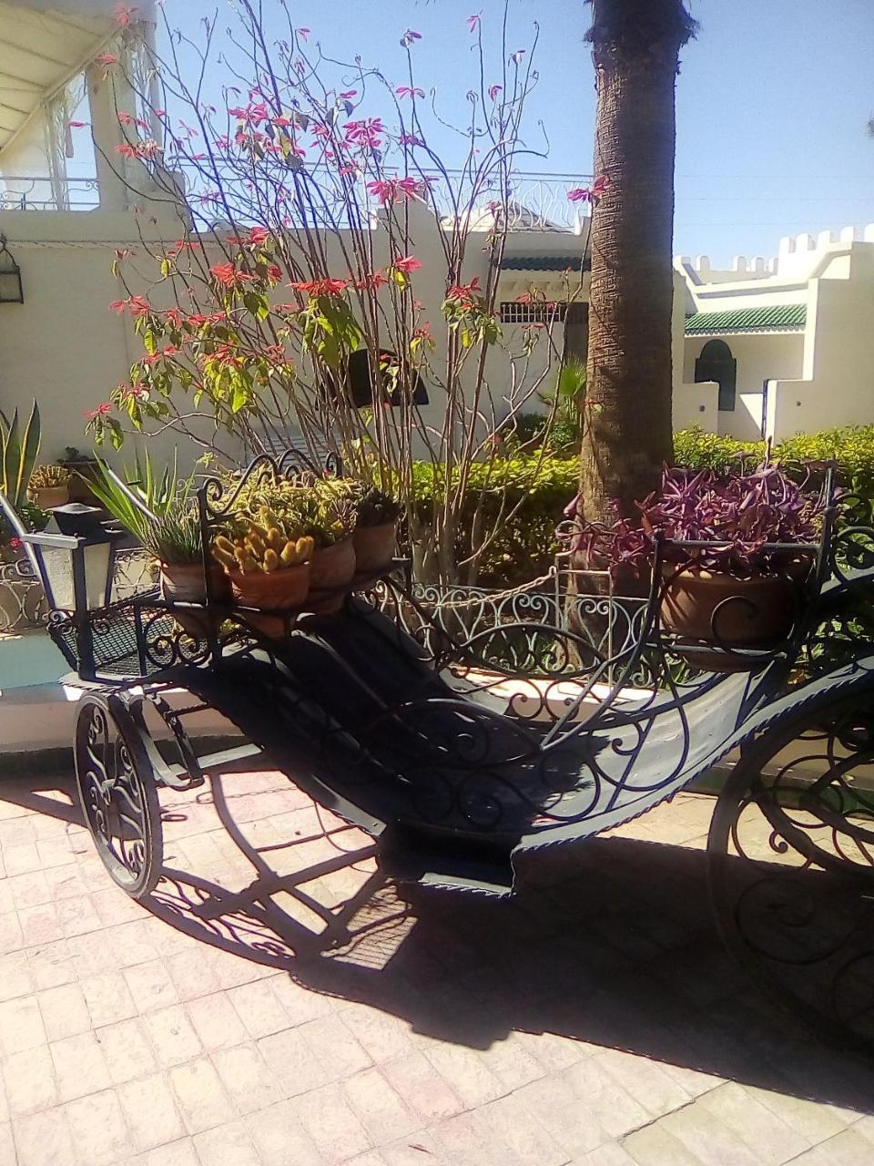 Hotel Riad L' Arganier D' Or Aït el Rhazi Extérieur photo